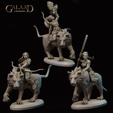 Mounted Amazon Bundle
